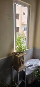 govinda reddy nilayam - sri sai balaji home stay