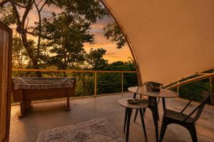 Boutique Safari #1