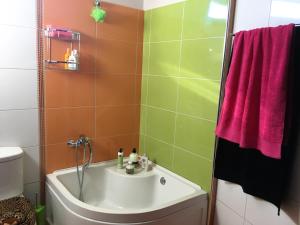 The Olive Tree House