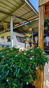 Samui Camping Farm
