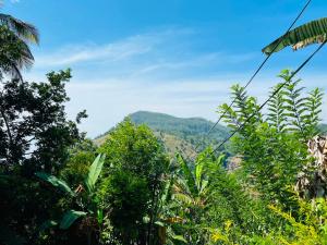Elysium Homestay Ella