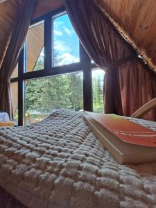 Cabana Armonia Naturii