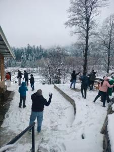 Himalayan Lotus Boutique Home Stay