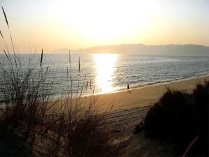 Charming Apartment in Troia, Garden View, 60 sqm