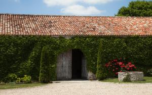 B&B / Chambres d'hotes Logis du paradis : photos des chambres