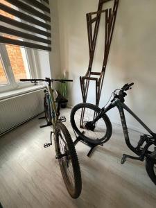 Klahr House Apartment Ladek Rynek
