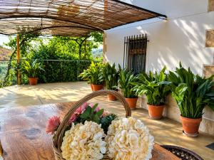 Casa Pepe - Piscina, BBQ and Parking gratis
