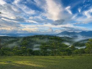 Trang Trại Thông Non Farmstay