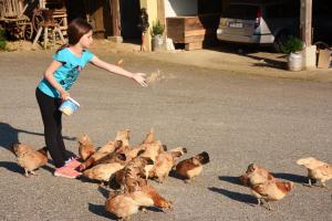 Turistična Kmetija Čebelji Gradič