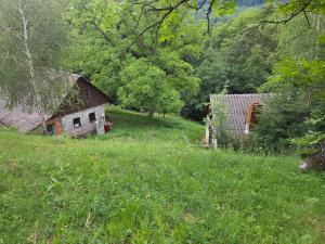 Haus im Wald
