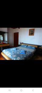Apartman Mladen Djakonovic