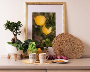 Catania - Elysea Collection