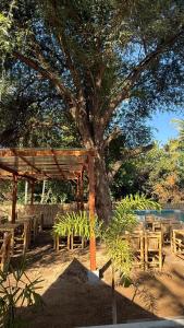 The Tree Poolbar&Resort