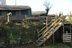 Safari Glamping Rhino