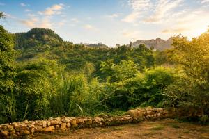 Sunrise Mount View