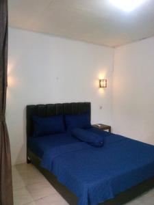 Abi Homestay