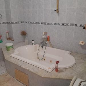 Rejiche
