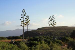Sulcis Relax Oasis Panoramic House