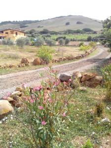 Sulcis Relax Oasis Panoramic House