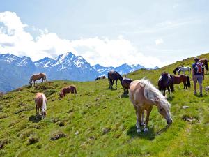 Alpengasthof Praxmar