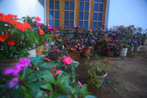 Belandur Bliss Homestay