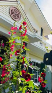 Grand Nauro villa