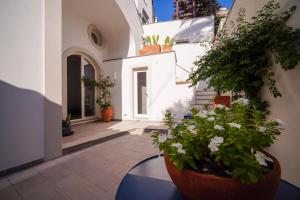 Nerano Massalubrense Amalfi Coast Casa Adelaide
