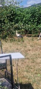 Chambre dHotes Le Vogelgarten