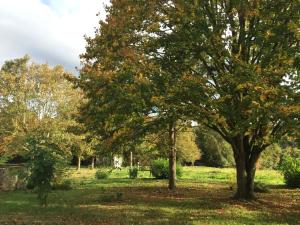 Maisons de vacances Chambres dans le gite 