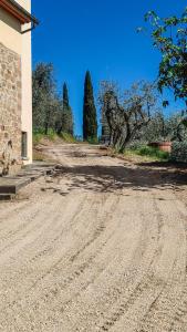 Tenuta San Lorenzo