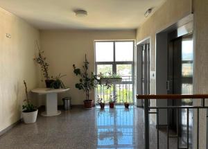Hillton Art Apartments