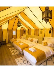 Ergline luxury camp