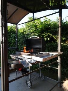 Tiny House Valea Avrigului