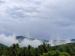Dhani Eco Nest - Hill View