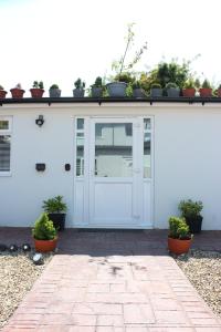 Garden Studio