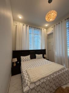 Ramozhomes