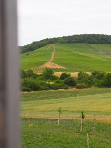 Weingut Weigand