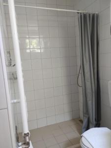 Ilic apartment