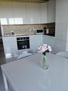 Flamingo View apartment