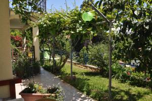 Apartments and Rooms Knez