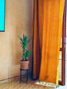 Authentic Moroccan Home WiFi Long Stay Discounts