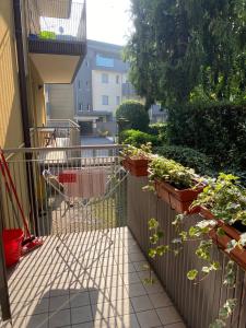 Davanti al Chorus Life, vicino al centro città