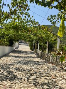 Rooms for Rent Himarë