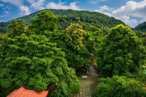 Athirappilly Rainland Resort