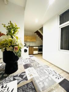 Private Rooms in Affordable 5-Bedroom Apartment