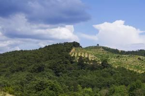 Kaz Dağı Konağı