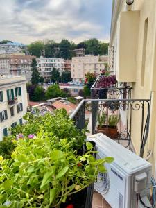DAMEDARTE Trastevere