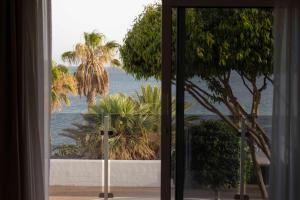 Apartamento Brisa
