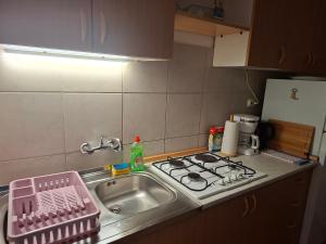Sandra Apartmani 3