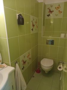 Apartament Szamana